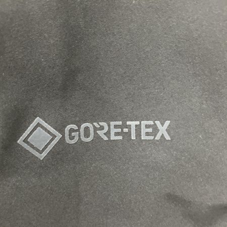  Patagonia パタゴニア パウダーボウルジャケット ゴアテックス L 31392FA21