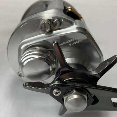  DAIWA ダイワ ベイトリール 15キャタリナ BJ100SH 613703