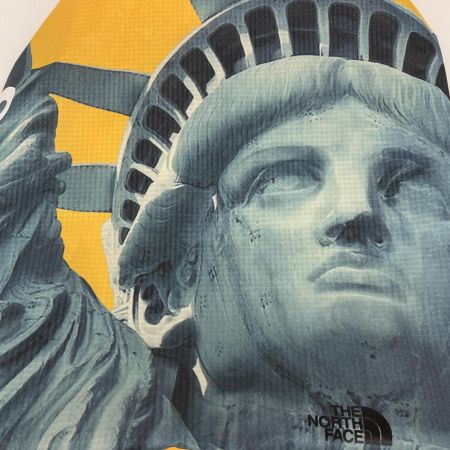  Supreme シュプリーム The North Face Statue of Liberty Waterproof Backpack Yellow NF0A3VY6