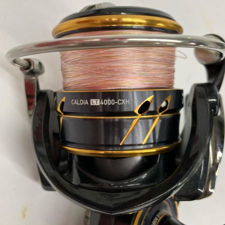  DAIWA ダイワ スピニングリール DAIWA 21カルディア LT4000-CXH ハンドルカスタム済 063220