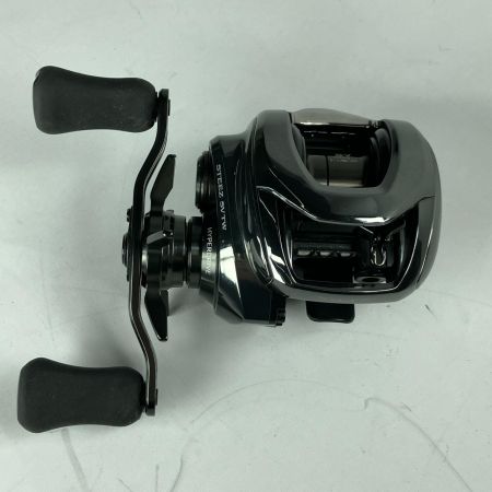  DAIWA ダイワ ベイトリール 24 スティーズ SV TW 100H 00630312