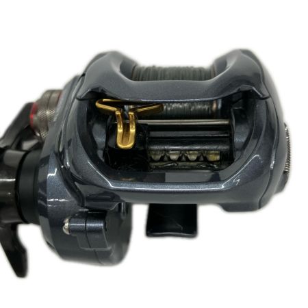  DAIWA ダイワ ベイトリール ジリオン SV TW 00613444
