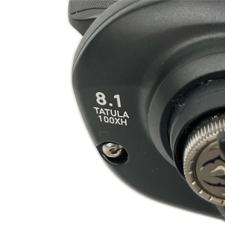  DAIWA ダイワ ベイトリール タトゥーラTW100XH 00630039