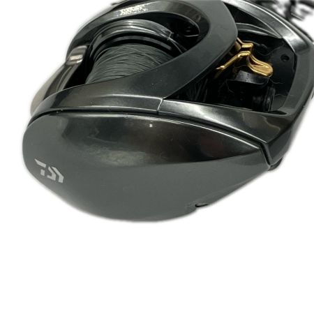  DAIWA ダイワ ベイトリール スティーズCT SV TW 700HL ハンドルノブ一部変更済  00613531
