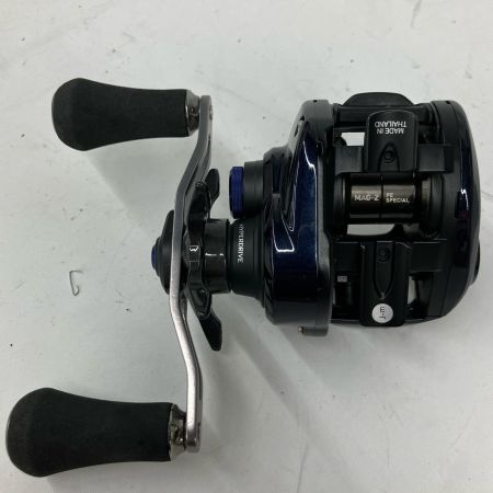  DAIWA ダイワ ベイトリール  SALTIST TW PE SP