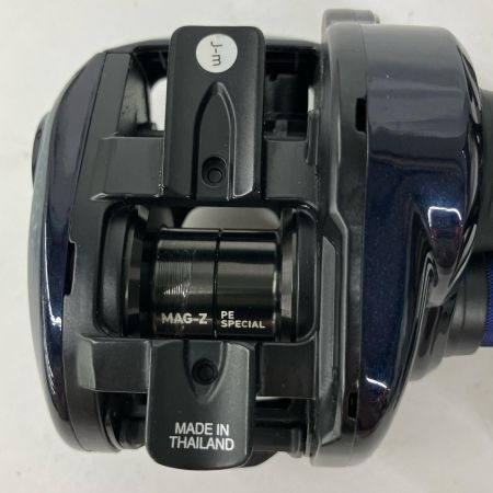  DAIWA ダイワ ベイトリール  SALTIST TW PE SP