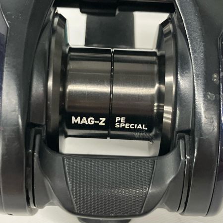  DAIWA ダイワ ベイトリール  SALTIST TW PE SP
