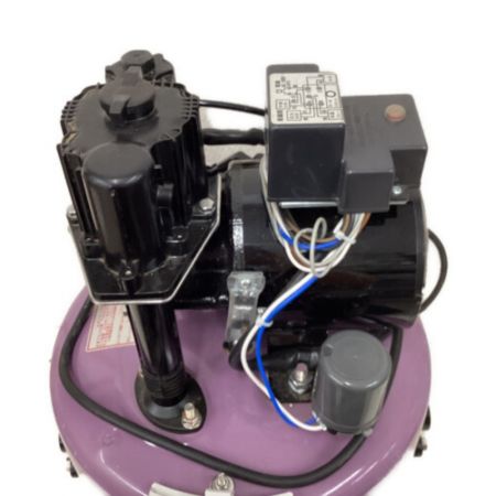  寺田ポンプ 浅井戸用ポンプ　 THP-250KF