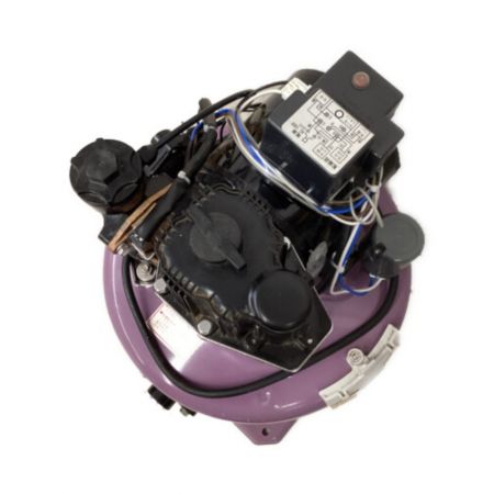  寺田ポンプ 浅井戸用ポンプ　 THP-250KF