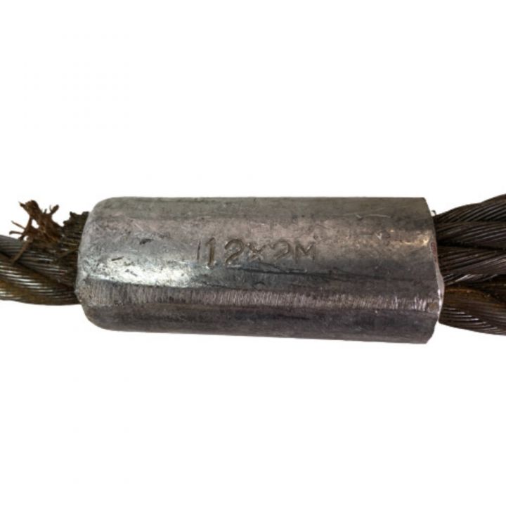 日本クランプ 穴つり専用クランプ 玉掛けワイヤー RHP700 グリーン