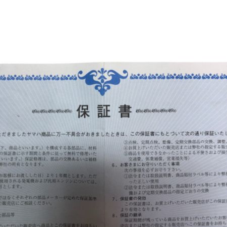  YAMAHA ヤマハ インバーター発電機 本体のみ 100v 大型機械 EF9HiS ブルー