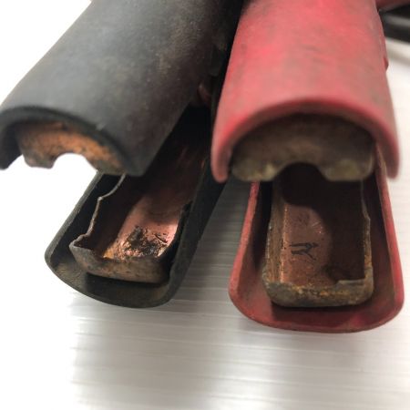  NIPPONDENCHI ブースターチャージャー　 6/12/24V SP1-24-10Z レッド