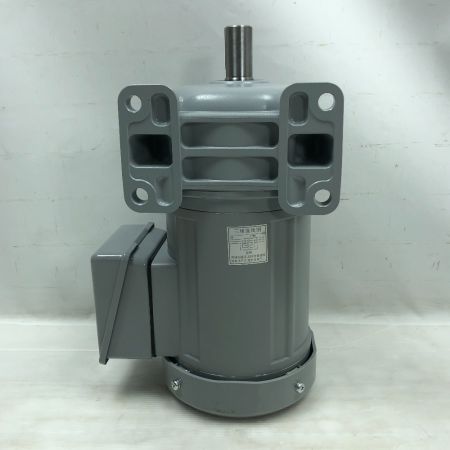 GTR 電動工具 ギアモーター G3L22N5-MM04tNNTN グレ