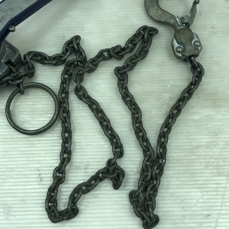  ZOJIRUSHI CORPORATION 象印 工具 ハンドツール レバーホイスト ブルー