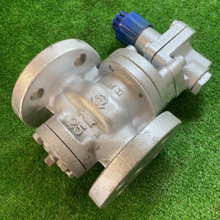   REDUCING VALVE 減圧弁（蒸気用）径 SIZE 25 IN MAX 1MPa 本体のみ 未チェック 現状販売 RP-6