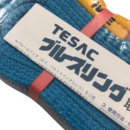 €€ TESAC スリングベルト 50mm/4m スカイブルー
