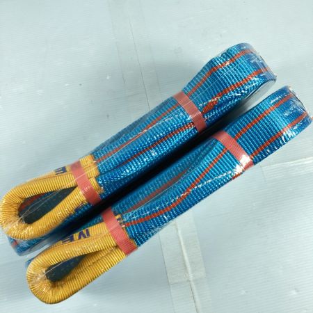  TESAC ブルースリング スリングベルト 50mm/4.0m 2t 2本セット (3) ブルー