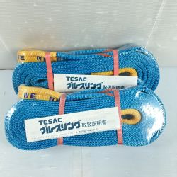 ＊＊ TESAC ブルースリング スリングベルト 50mm/4.0m 2t 2本セット (6) ブルー Sランク