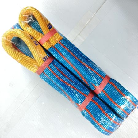 TESAC ブルースリング スリングベルト 50mm/4.0m 2t 2本セット (6) ブルー