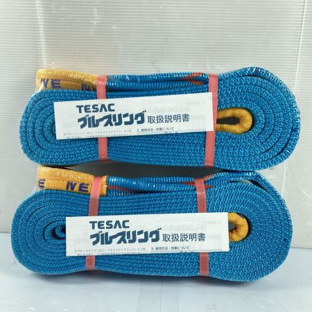  TESAC ブルースリング スリングベルト 50mm/4.0m 2t 2本セット (4) ブルー