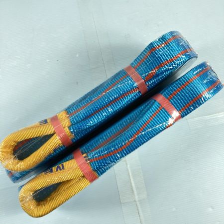  TESAC ブルースリング スリングベルト 50mm/4.0m 2t 2本セット (4) ブルー