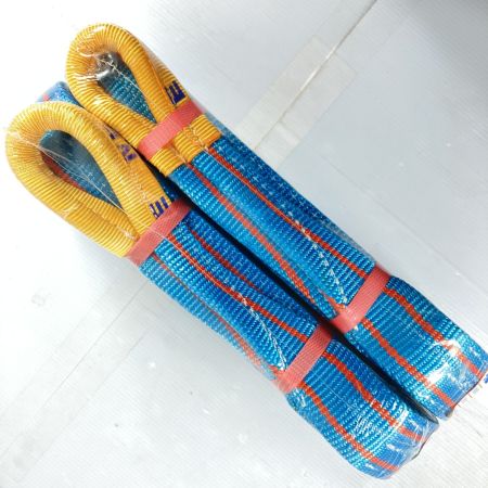  TESAC ブルースリング スリングベルト 50mm/4.0m 2t 2本セット (5) B25-0326 ブルー