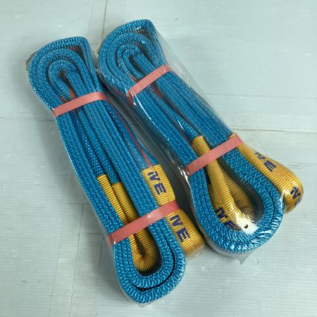  TESAC スリングベルト 2本組 50mmx2.0m/2.0t スカイブルー