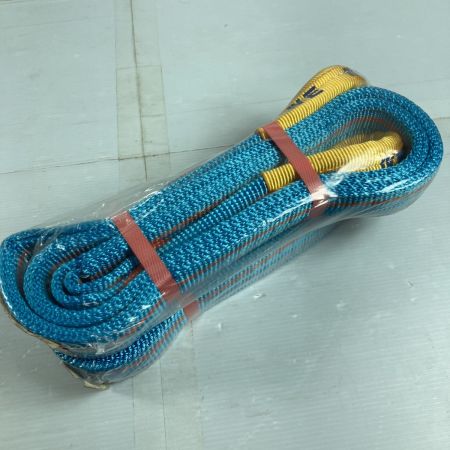  TESAC スリングベルト 2本組 50mmx2.0m/2.0t スカイブルー