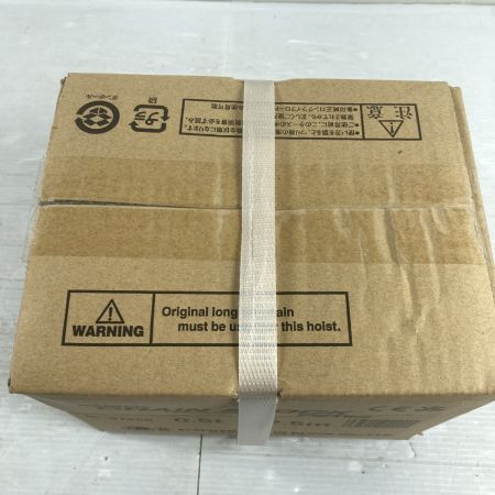  象印ELEPHANT チェーンブロック 0.5tx2.5m (2) C21type