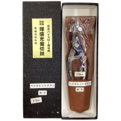 ΘΘ 盛光 HSVH-0121 Aランク