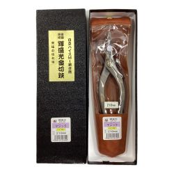 ΘΘ 盛光 HSTH-1621 Aランク