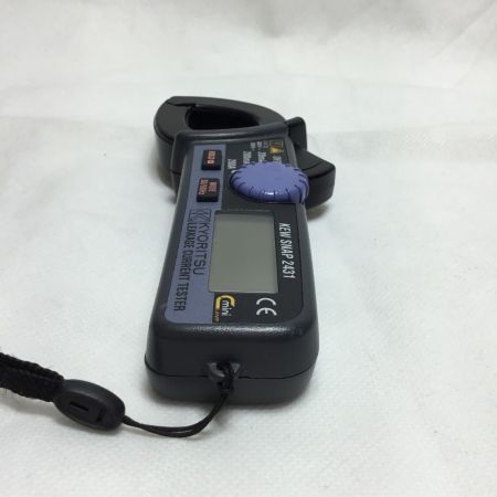  KYORITSU 共立電気計器 デジタルクランプメーター ケース付 KEW SNAP 2431