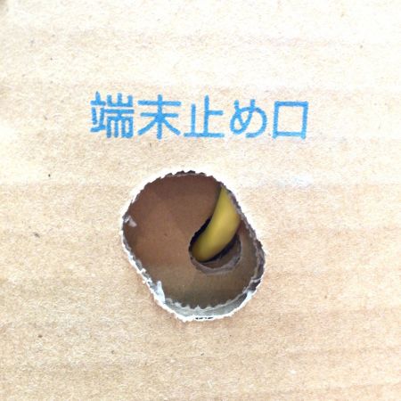  日本製線株式会社 UTPケーブル Cat6 イエロー 0.5-4PNSGDT6