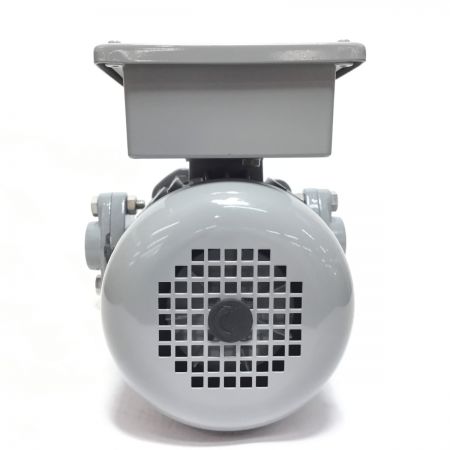  川本ポンプ アラインポンプ 未使用品(S) PE2-205-0.155