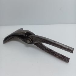 盛光 掴箸 程度C Cランク