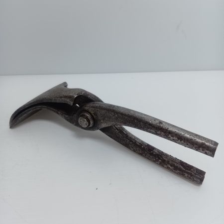 盛光 掴箸 程度C