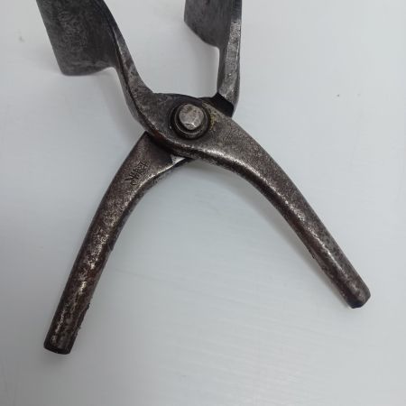 盛光 掴箸 程度C