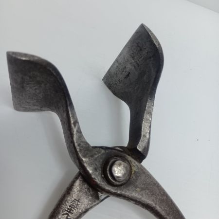 盛光 掴箸 程度C