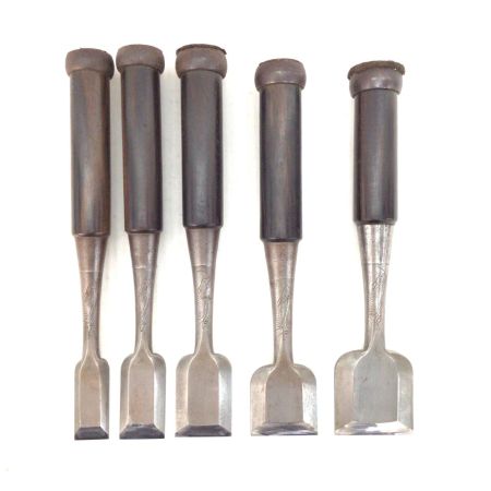   ノミ 程度C 10本セット 名前入り 虎光