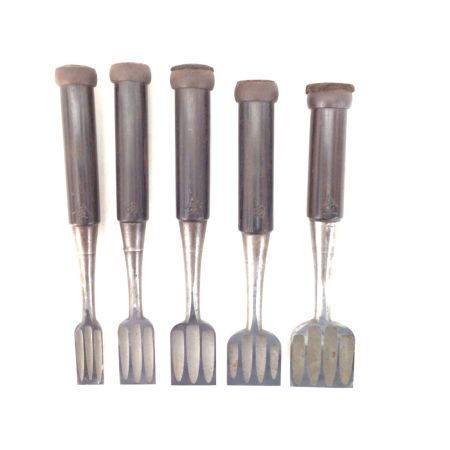   ノミ 程度C 10本セット 名前入り 虎光