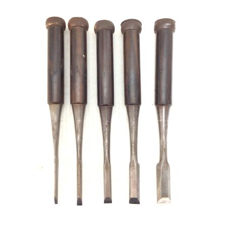   ノミ 程度C 10本セット 名前入り 虎光