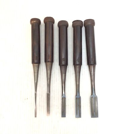   ノミ 程度C 10本セット 名前入り 虎光