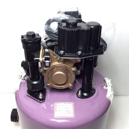  TERADA 浅井戸用自動式ホームポンプ 未使用品(S) ストレーナ、抵抗スプリング 25H29 THP-250KF