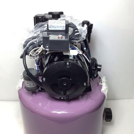  TERADA 浅井戸用自動式ホームポンプ 未使用品(S) ストレーナ、抵抗スプリング 25H29 THP-250KF