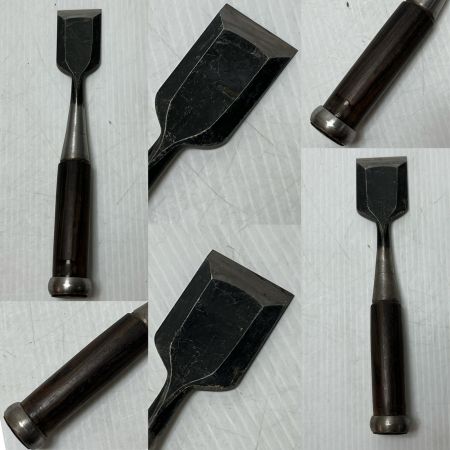 ノミ  10本セット