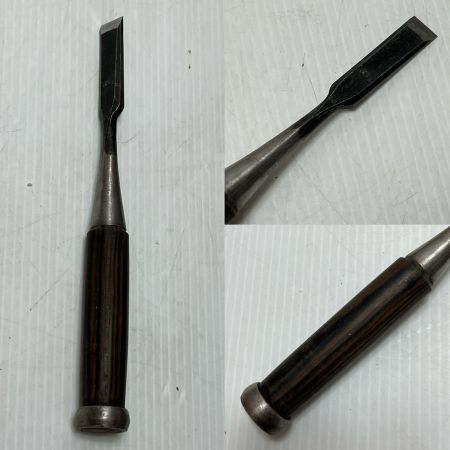 ノミ  10本セット