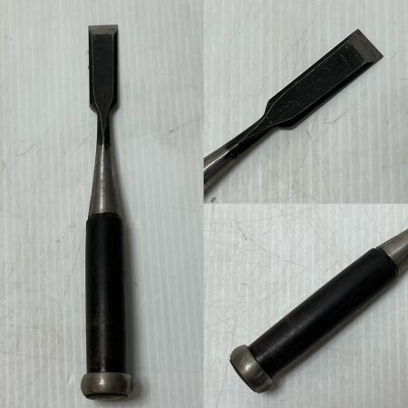 ノミ  10本セット