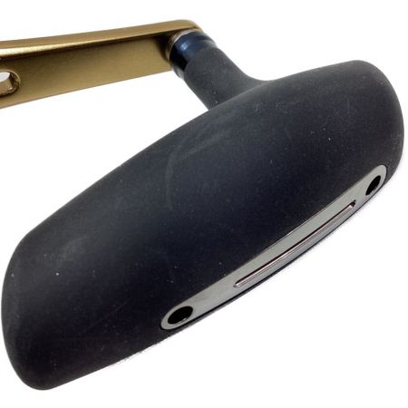  DAIWA ダイワ 21ソルティガIC300HL-SJ 00631507