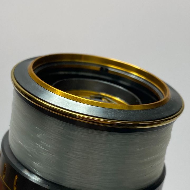 21ルビアス エアリティー ダイワ DAIWA LT3000S-CXH 釣り用品 釣り小物 