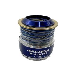 〇〇 DAIWA ダイワ ソルティガZ4500 替スプール SALTIG 058931 Bランク